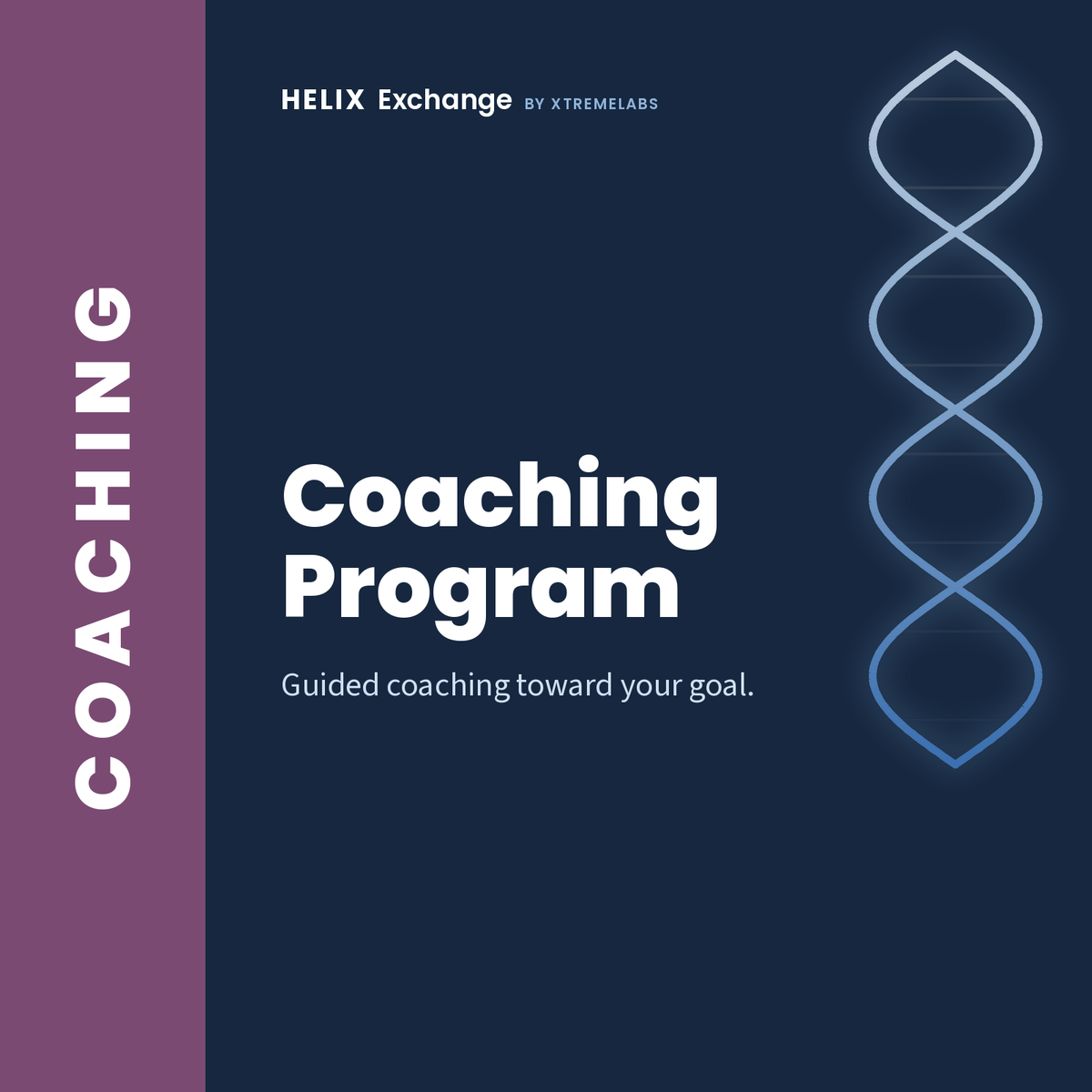 IT Administrator Coaching Program