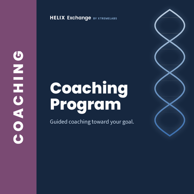 IT Support Coaching Program