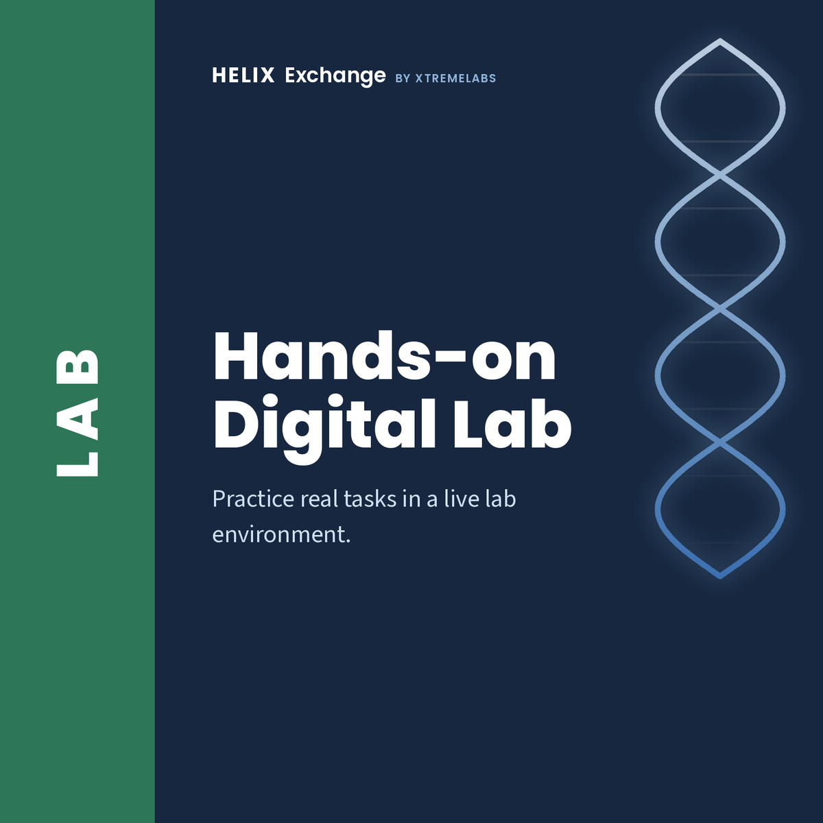 Hands-on Digital Lab: practice real tasks in a live lab environment