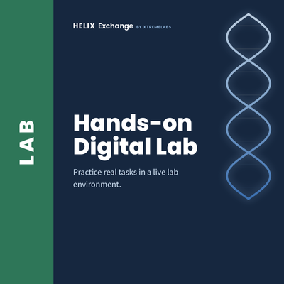 Hands-on Digital Lab: practice real tasks in a live lab environment