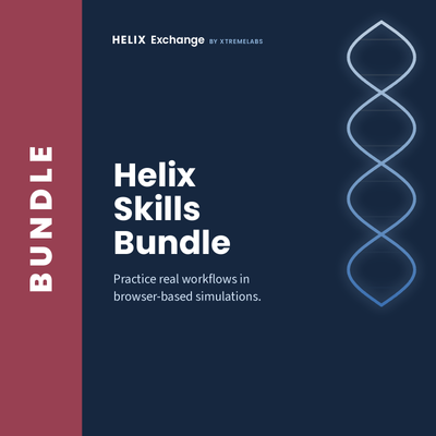 AI Leadership Briefing Bundle